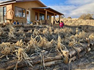 Hopi Permaculture